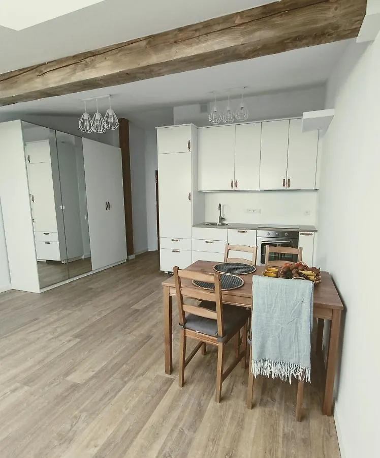Apartment 34M2 Apartament W Centrum Krakowa